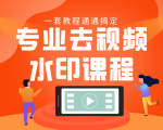 专业去视频水印教程 静态水印、动态水印、文字水印、图片水印一套教程通通搞定-虚拟资源库