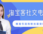 某站内部课程:淘宝客社交电商裂变,精准引流和粉丝裂变模式详解(共6节视频)-虚拟资源库