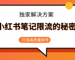 小红书笔记限流的秘密，被限流的笔记独家解决方案，打造高质量账号（共3节视频）-虚拟资源库