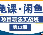 龟课·闲鱼项目玩法实战班第13期，轻松玩转闲鱼，多渠道多方法引流到私域流量池-虚拟资源库