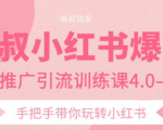 狼叔小红书爆款推广引流训练课4.0,手把手带你玩转小红书-虚拟资源库