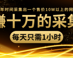 年赚十万的采集站，每天却只需要1小时，一年时间采集出一个售价10W以上的网站-虚拟资源库