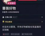 爆抖联盟蔷薇好物连怼100技术,一天连怼上百个视频,单场直播平均带货30万玩法-虚拟资源库
