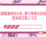 抖音直播间风火轮，暴力微信引流技术，低成本日加上千法-虚拟资源库
