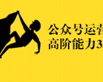 公众号运营高阶能力35讲，从月薪3k到月薪30k，新媒体人的必修课-虚拟资源库