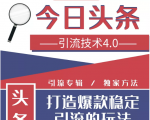 今日头条引流技术4.0，微头条实战细节，微头条引流核心技巧分析，快速发布引流玩法-虚拟资源库