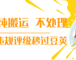 抖音纯搬运 不处理 小技巧,30秒发一个作品,避免违规评级秒过豆荚-虚拟资源库
