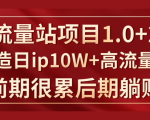 《大流量站项目1.0+2.0》打造日IP10W+高流量站，前期很累后期躺赚-虚拟资源库