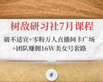 树敌研习社7月课程：破不适宜+零粉万人直播间卡广场+团队赚佣16W美女号套路-虚拟资源库