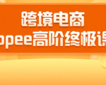 2020跨境电商蓝海新机会-SHOPEE大卖特训营：高阶终极课程（16节课）-虚拟资源库
