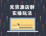 无货源店群实操玩法,蓝海选品的独特思路,店群软件操作方法(45节视频课)-虚拟资源库