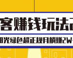 淘客赚钱玩法2.0,阳光绿色超正规项目,月躺赚2W+【视频课程】-虚拟资源库
