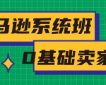 亚马逊系统班,专为0基础卖家量身打造,亚马逊运营流程与架构-虚拟资源库