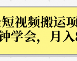 操作性非常强的头条号短视频搬运项目,3分钟学会,轻松月入8000+-虚拟资源库