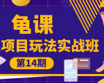 龟课·闲鱼项目玩法实战班第14期,批量细节玩法,一个月收益几万-虚拟资源库