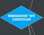 臻曦联盟抖音高权重广场号无人直播正规品带货全解-虚拟资源库