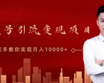 微信视频号运营变现课,带你玩转视频号实现月入10000+-虚拟资源库