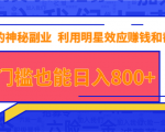 抖音上神秘副业项目,利用明星效应赚钱和截流,无门槛也能日入800+-虚拟资源库