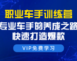 职业车手训练营:专业车手的养成之路,快速打造爆款(8节-无水印直播课)-虚拟资源库