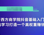 抖音基础入门班:小白0基础学习打造一个高权重赚钱的抖音号-虚拟资源库
