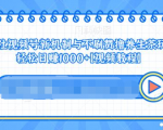 视频号新机制与不刷赞撸养生茶玩法,轻松日赚1000+-虚拟资源库
