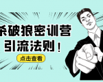 杀破狼密训营:B站霸屏引流的原理及方式+搭建赚钱的内容法则-虚拟资源库