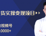 柚子分享课:微信视频号变现攻略,新手零基础轻松日赚千元-虚拟资源库