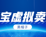 黑帽子淘宝虚拟卖货项目，单店每月收入5000+-虚拟资源库