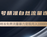 垂直起号精准自然流量连爆玩法,精准引流暴力变现月入10000+-虚拟资源库