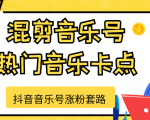 抖音音乐号涨粉套路，音乐号涨粉之混剪音乐号【热门音乐卡点】-虚拟资源库