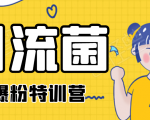 引流菌2020全网爆粉特训营（QQ群霸屏，知乎引流，群裂变，自动化引流等）-虚拟资源库