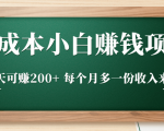 零成本小白赚钱实操项目，一天可赚200+ 每个月多一份收入来源-虚拟资源库