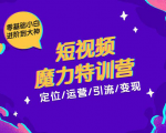 零基础小白进阶到大神《短视频魔力特训营》定位-运营-引流-变现-虚拟资源库