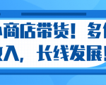 微信小商店带货,爆单多倍收入,长期复利循环!日赚300-800元不等-虚拟资源库