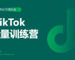 2020最新TikTok流量增长训练营（完结）附PPT-虚拟资源库