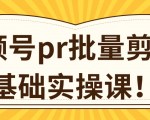 视频号PR批量剪辑0基础实操课,PR批量处理伪原创一分钟一个视频【共2节】-虚拟资源库