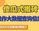 搬砖操作大数据查询信用项目赚钱教程,祝你快速月入6万-虚拟资源库