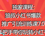 狼叔小红书爆款推广引流训练课7.0,手把手带你玩转小红书-虚拟资源库