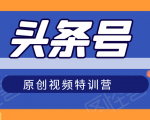 头条号原创视频特训营:一对一带你玩转短视频,新号10天日收益破252元-虚拟资源库