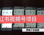 野路子小红书视频号1.0项目,直接上手操作就能赚钱的视频号项目-虚拟资源库