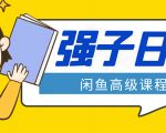 闲鱼高级课程:单号一个月一万左右 有基础的,批量玩的5万-10万都不是难事-虚拟资源库