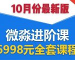 微淼理财进阶课全套视频:助你早点实现财务自由,理论学习+案例分析+实操-虚拟资源库