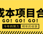 低成本零成本项目合集:赚钱快的慢的、暴利的,线上线下的,价值万元资料-虚拟资源库