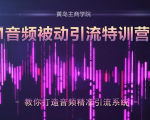 黄岛主·FM音频引流特训营2.0:独家引流模式,单账号50W+播放量,轻松变现-虚拟资源库