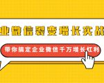 企业微信裂变增长实战课：带你搞定企业微信千万增长红利，新流量-新玩法-虚拟资源库