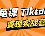 龟课·TikTok变现实战训练营线上第1期,多种变现模式,轻松赚美刀-虚拟资源库