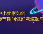淘宝中小卖家如何利用春节期间做好弯道超车，如何做到月销售额20W+-虚拟资源库