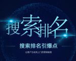 搜索排名引爆点：教你快速掌握各个搜索引擎排名算法，让客户主动找上你的秘笈-虚拟资源库