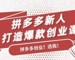 拼多多新人打造爆款创业课:快速引流持续出单,适用于所有新人-虚拟资源库