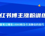 小红书博主涨粉训练营:一篇笔记爆涨10000粉及引流微信的技巧-虚拟资源库